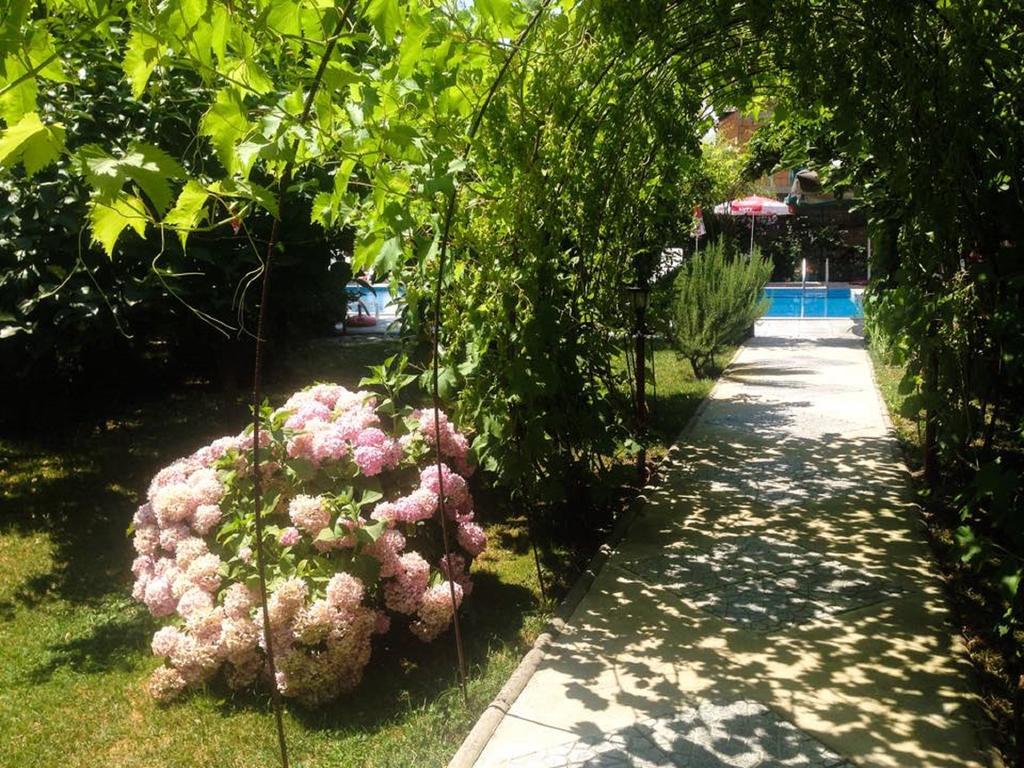 Villa Amsterdam Ohrid Eksteriør billede